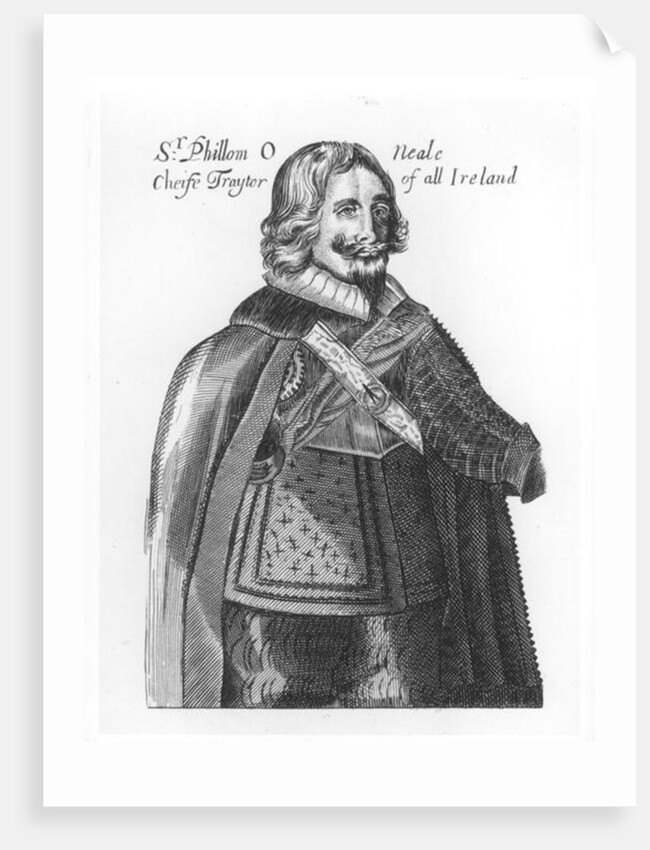 Portrait of Sir Phillom O'Neale by English School