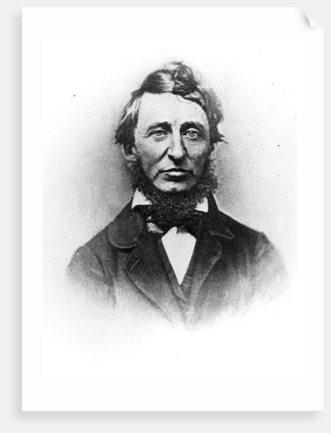 Henry Thoreau by American Photographer