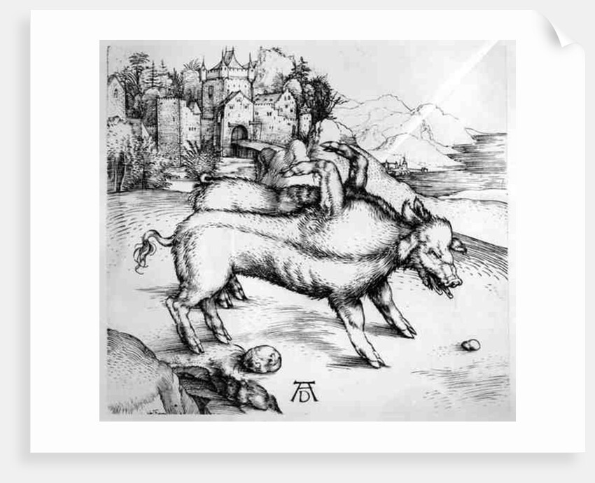 Monstrous Pig by Albrecht Dürer or Duerer