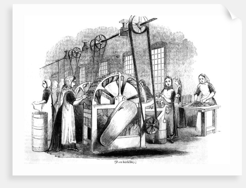 Flax Heckling by English School