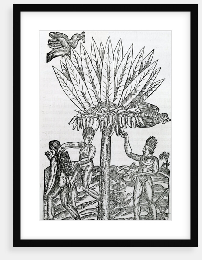 Harvest by French School