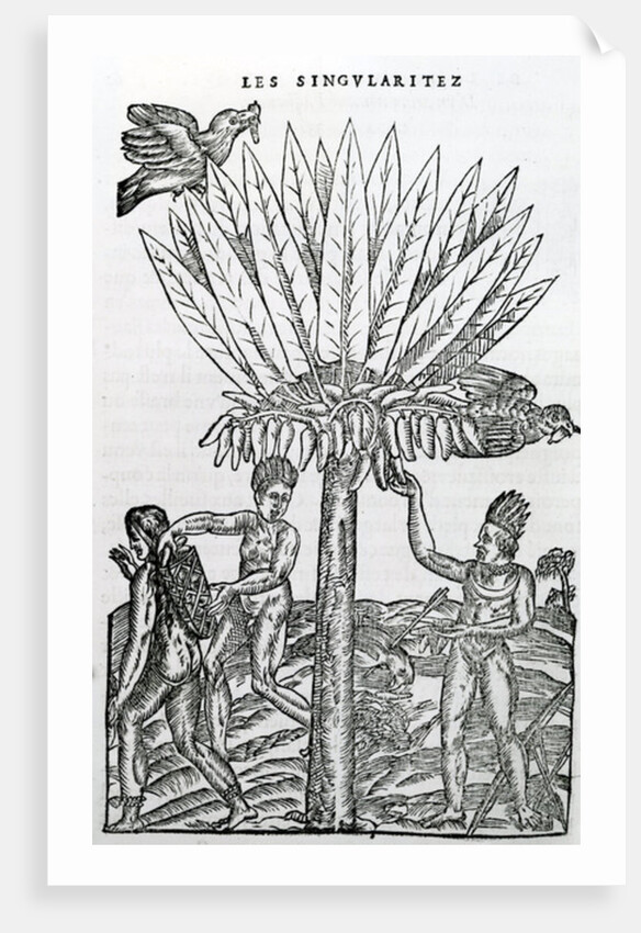 Harvest by French School