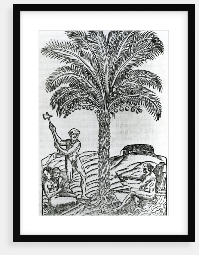 Harvest by French School