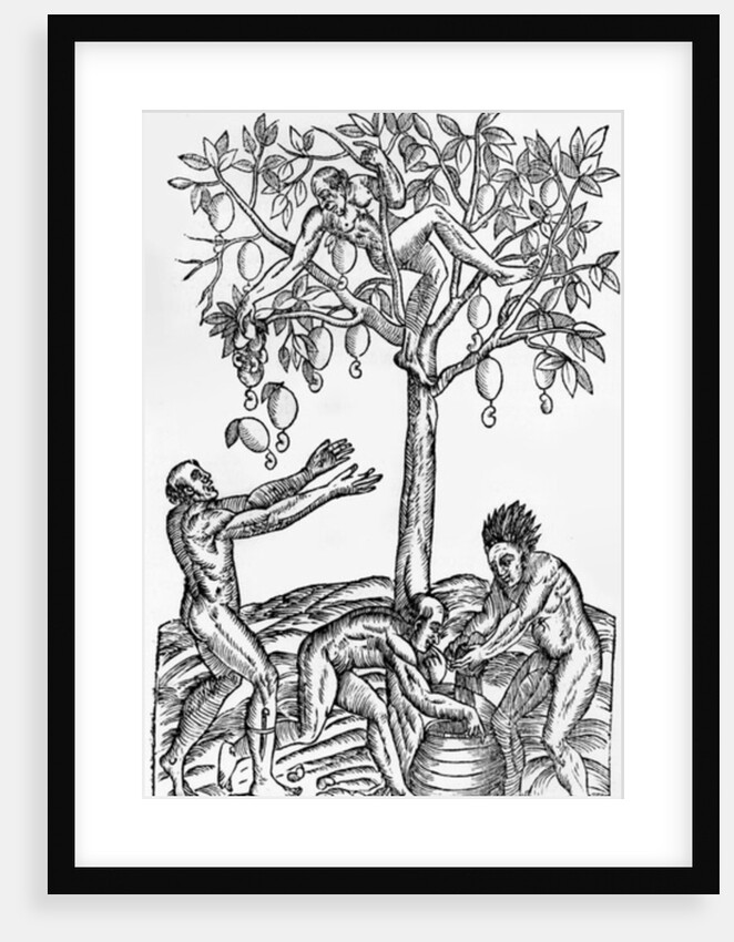 Collecting nuts for wine making by French School