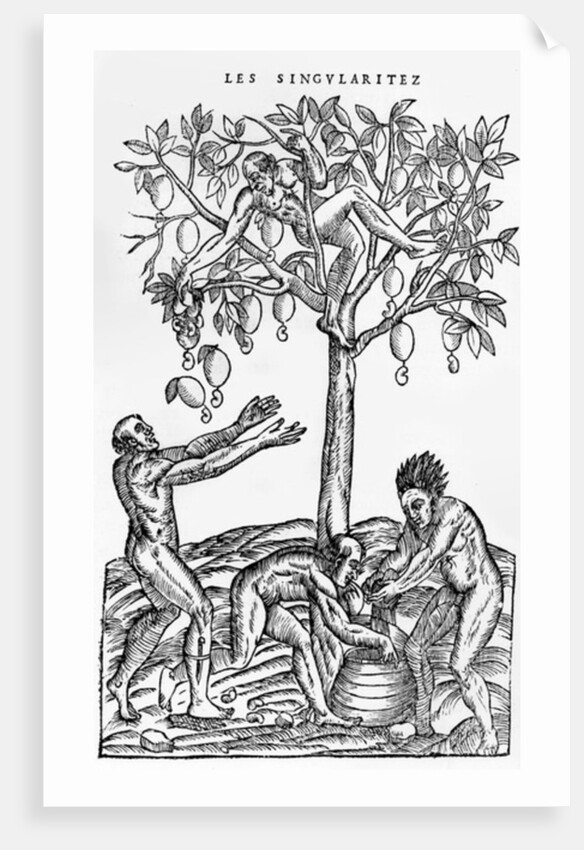 Collecting nuts for wine making by French School