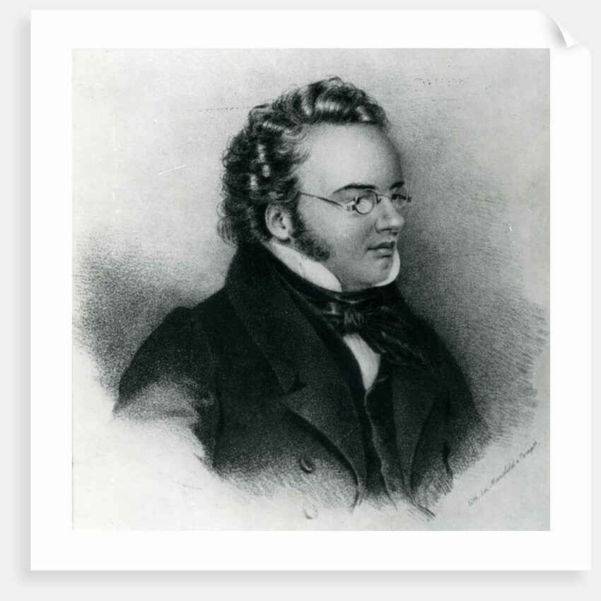 Portrait of Franz Schubert by Anonymous Anonymous