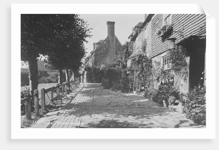 The Walks, Groombridge by English Photographer