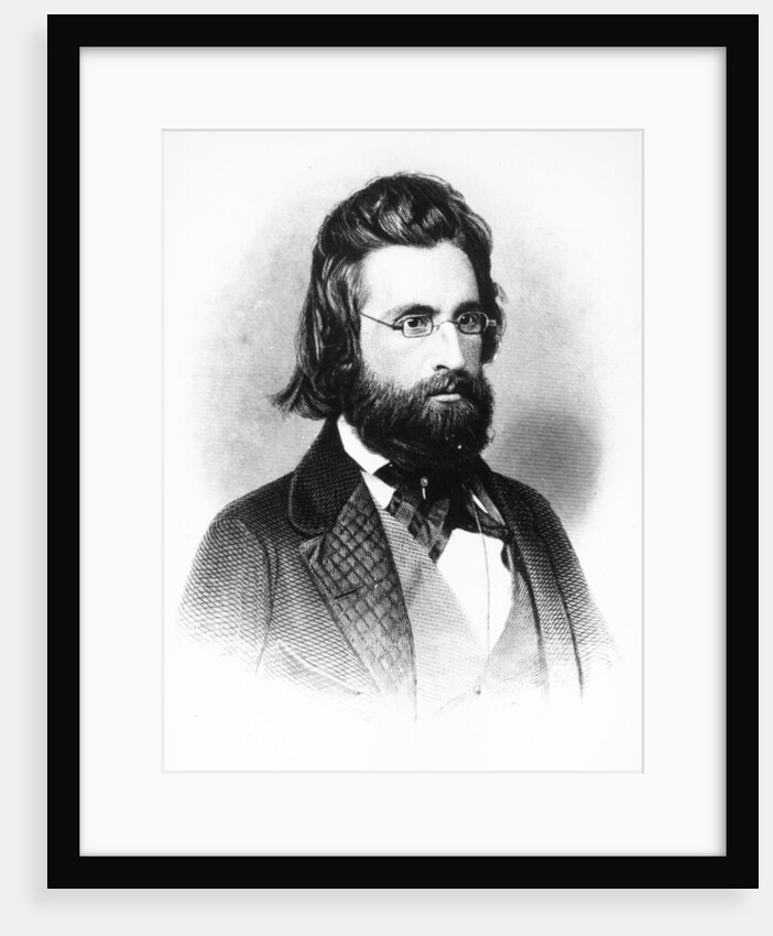 Andrew Jackson by American School