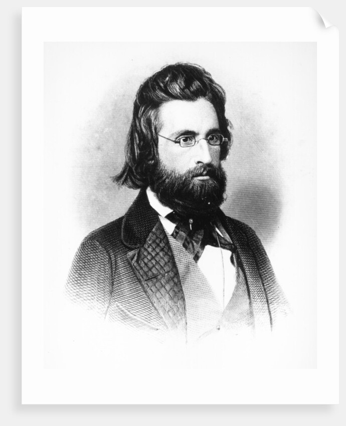 Andrew Jackson by American School