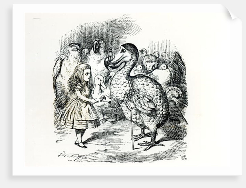 Alice meets the Dodo by John Tenniel