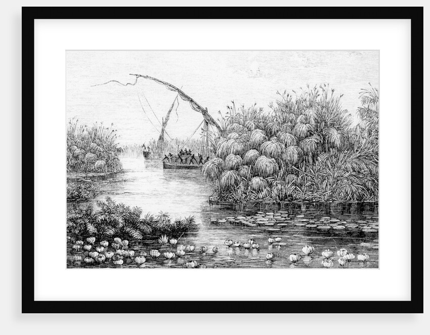 The Vessels in the Grass-Barrier by English School