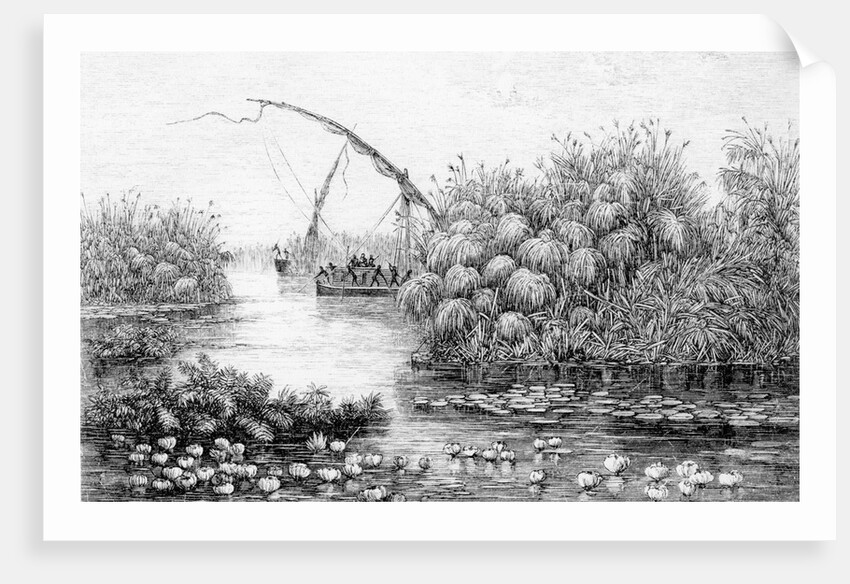 The Vessels in the Grass-Barrier by English School