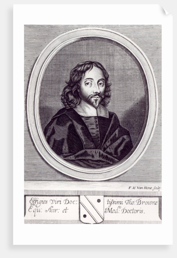 Sir Thomas Browne by English School