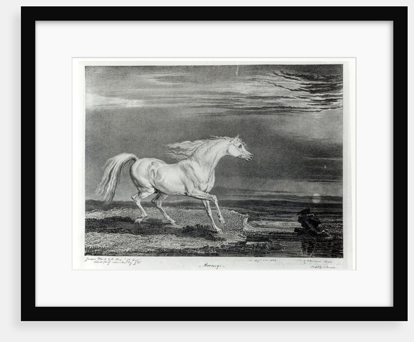 Marengo by James Ward