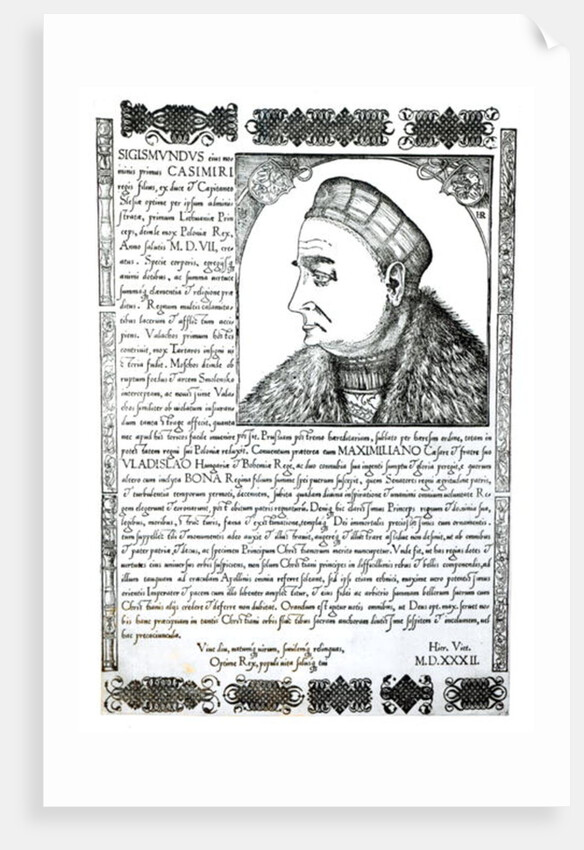 Sigismund I, 1532 by Anonymous