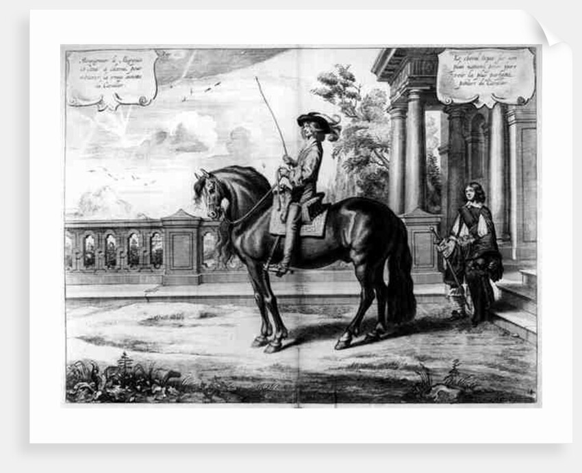 Illustration from a Riding Manual by Abraham Jansz. van Diepenbeeck