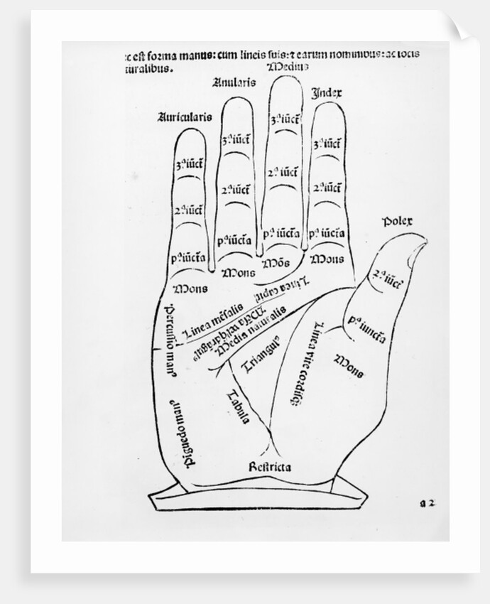 Palmistry by English School