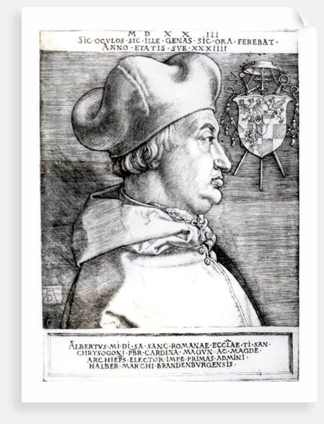 Portrait of Albert, Cardinal Elector of Mainz, 1523 by German School