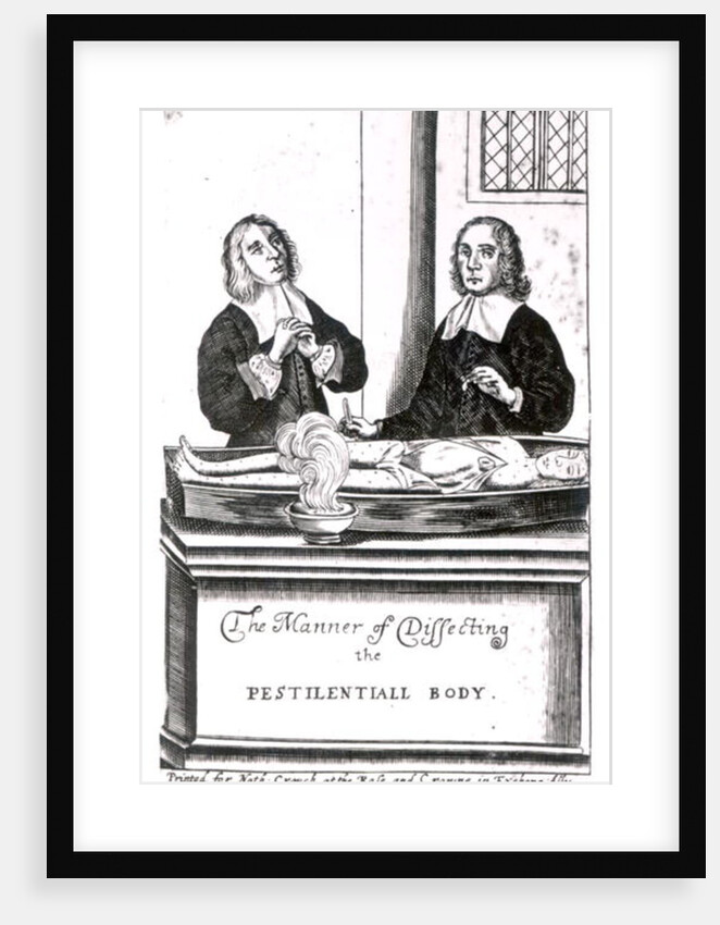 The Manner of Dissecting the Pestilential Body by English School