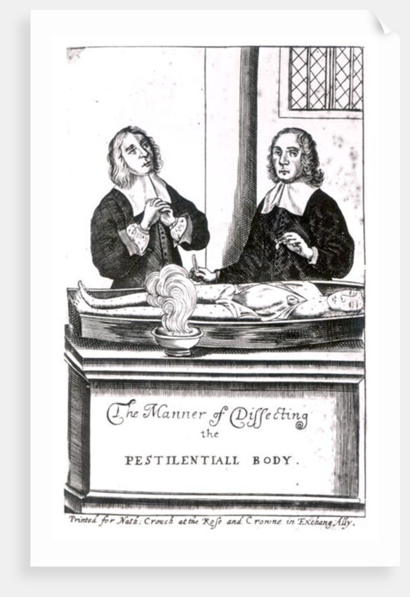 The Manner of Dissecting the Pestilential Body by English School