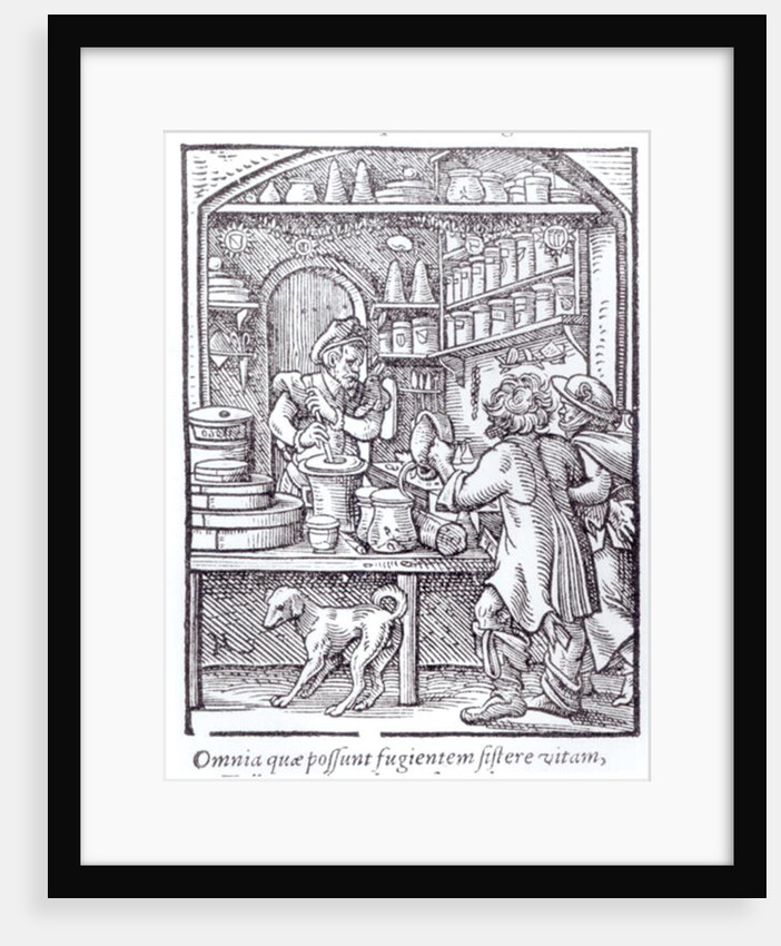 The Apothecary. by German School