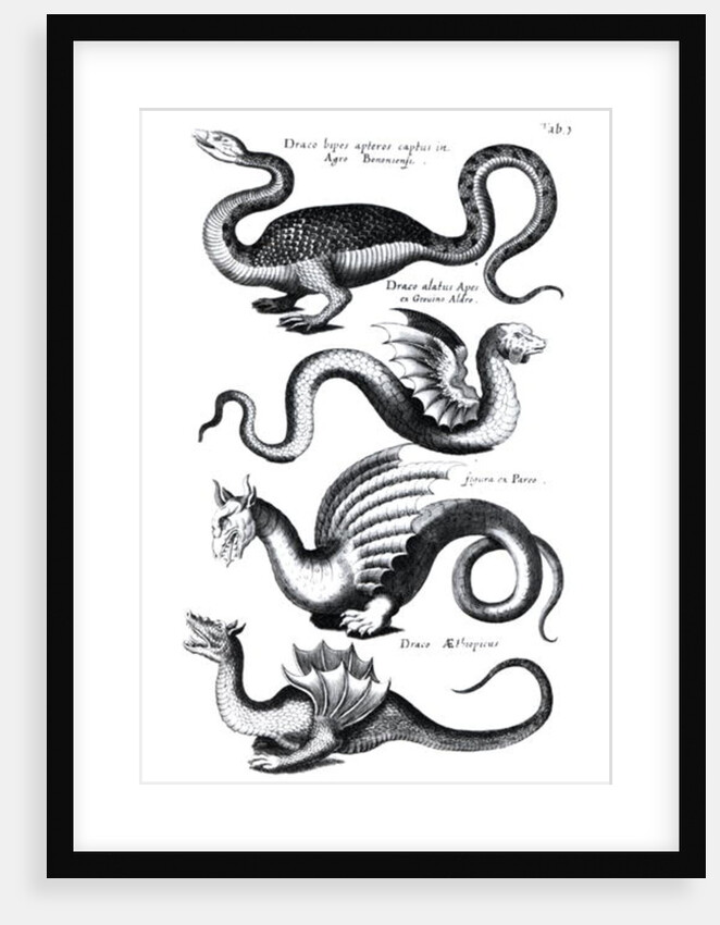 Four types of dragon by English School