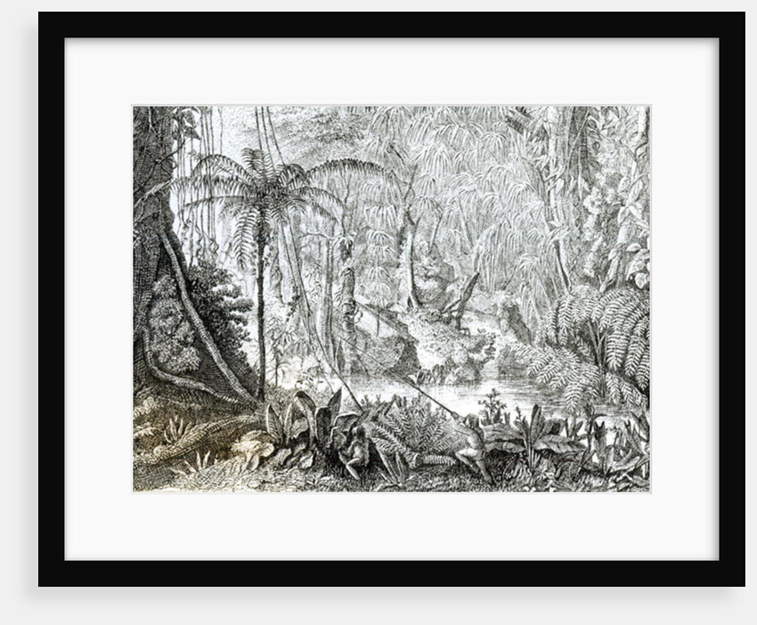 Interior of a Primeval Forest in the Amazons by English School