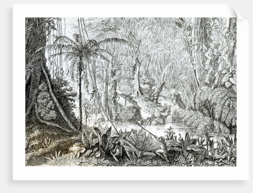 Interior of a Primeval Forest in the Amazons by English School