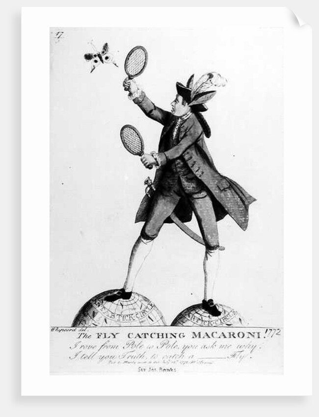 The Fly Catching Macaroni by English School