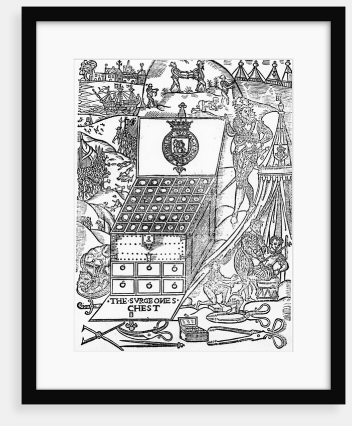 The Surgeon's Chest by English School