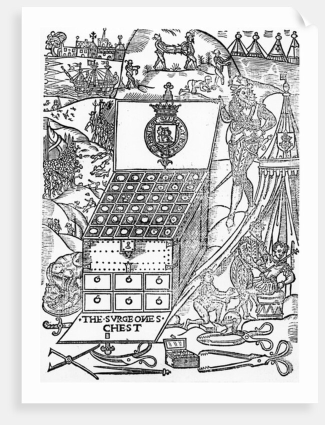 The Surgeon's Chest by English School