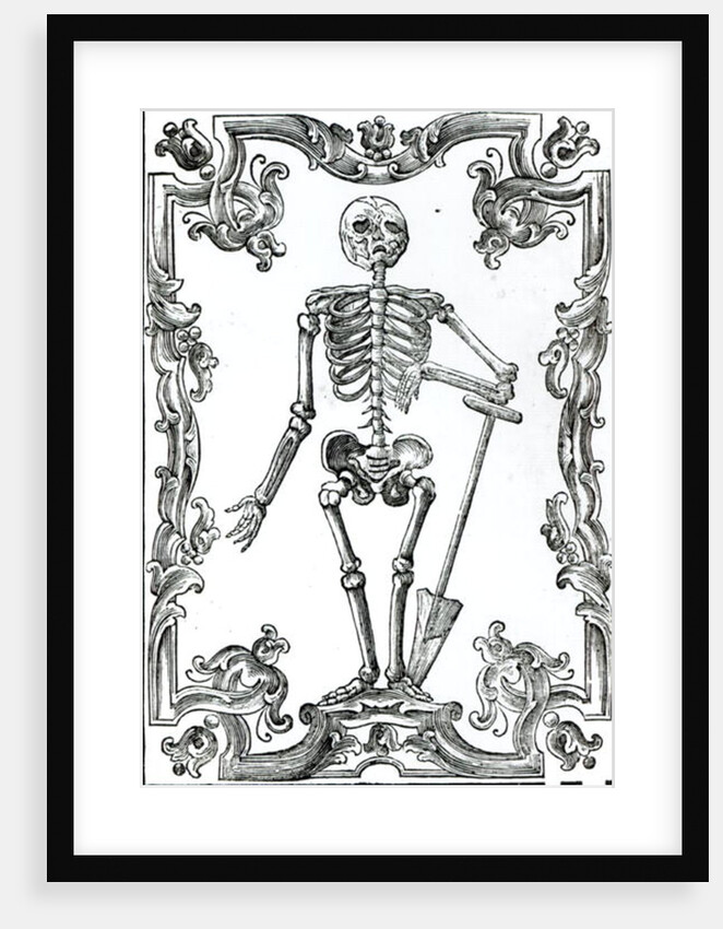 Skeleton with a Shovel by German School