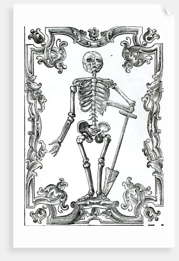Skeleton with a Shovel by German School