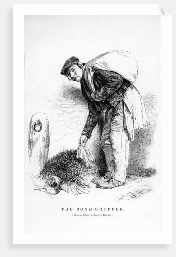 The Bone-Grubber, 1862 by English School