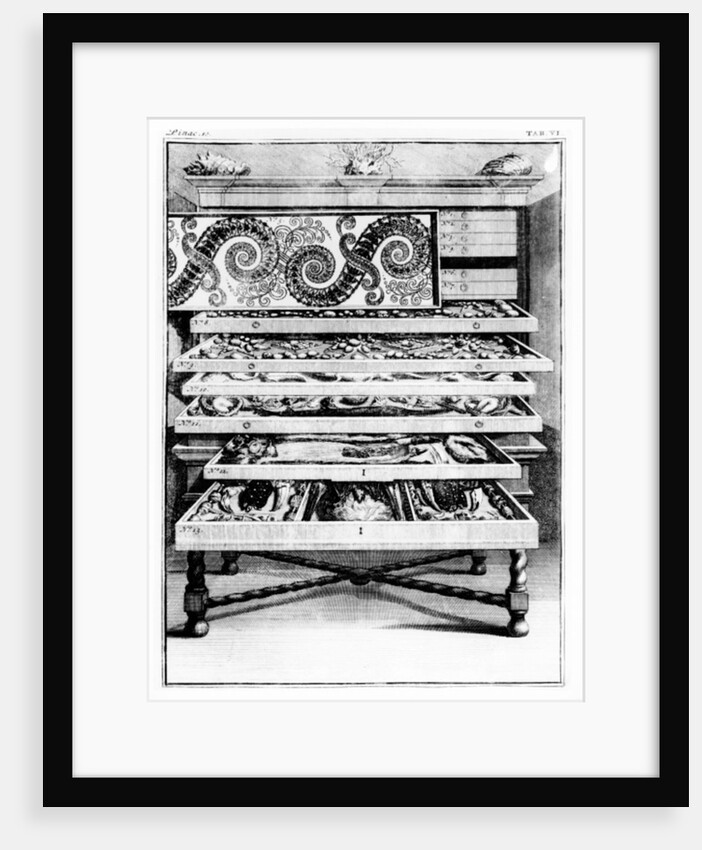 Table 6 from 'Elenchus Tabularum' by Levin Vincent 1719 by English School