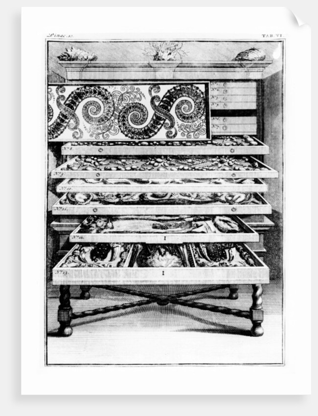 Table 6 from 'Elenchus Tabularum' by Levin Vincent 1719 by English School
