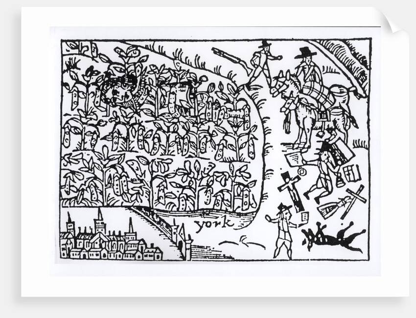 Prince Rupert Hiding in a Bean Field at the Battle of Marston Moor on 2nd July 1644 by English School