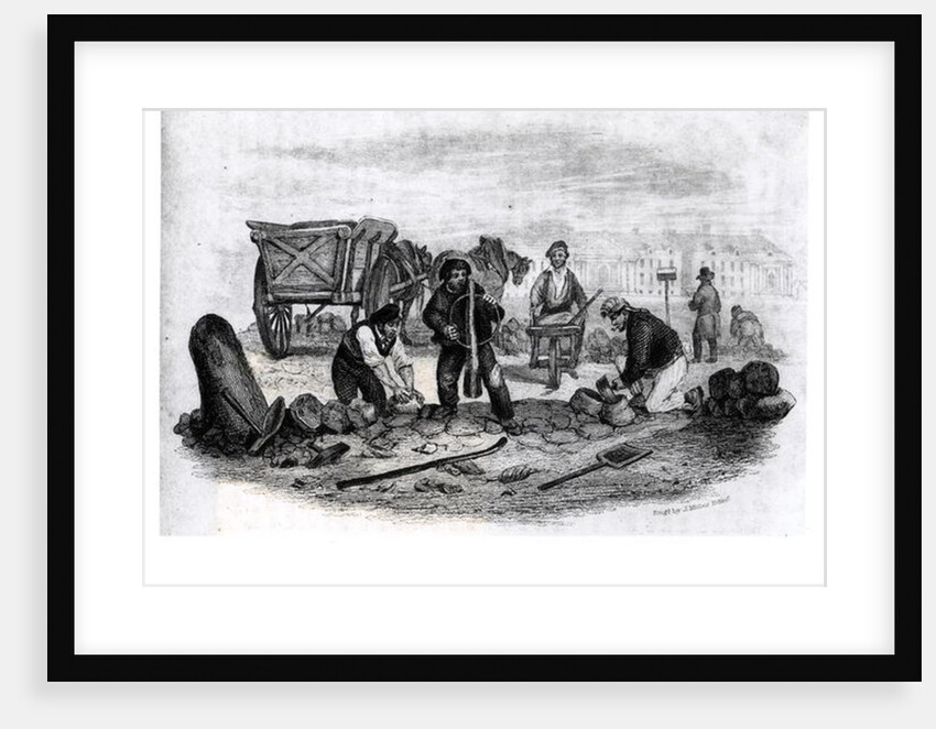 The Pavier by English School