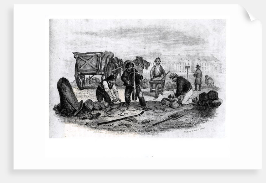 The Pavier by English School