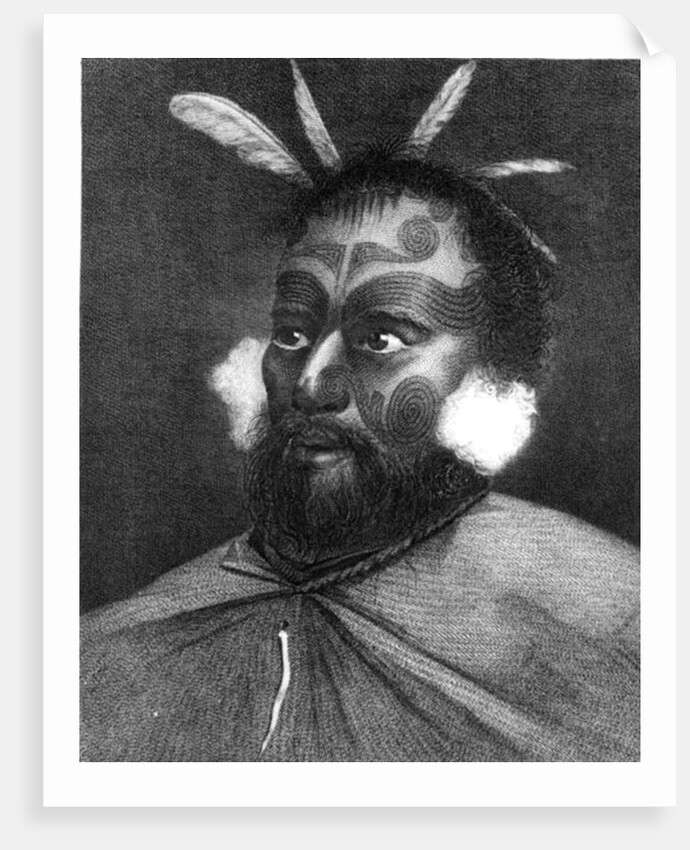 Portrait of a Man of New Zealand by Charles Howard Hodges