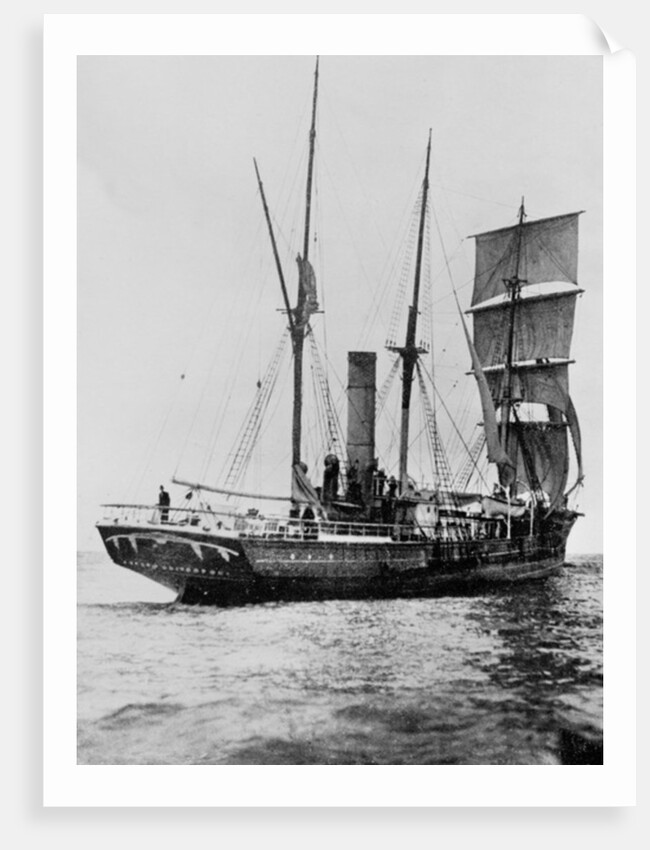 The Aurora crossing the Equator, August 1911 by Anonymous