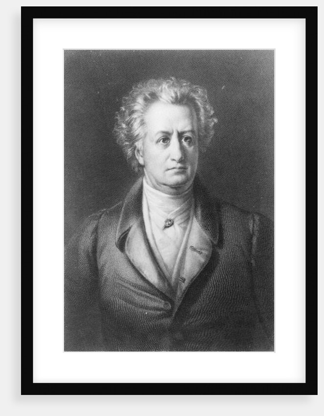 Johann Wolfgang Goethe by German School