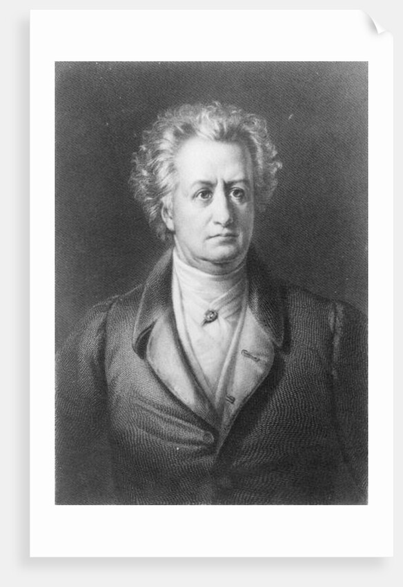 Johann Wolfgang Goethe by German School