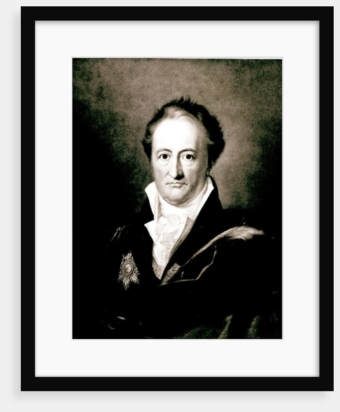 Johann Wolfgang Goethe by German School