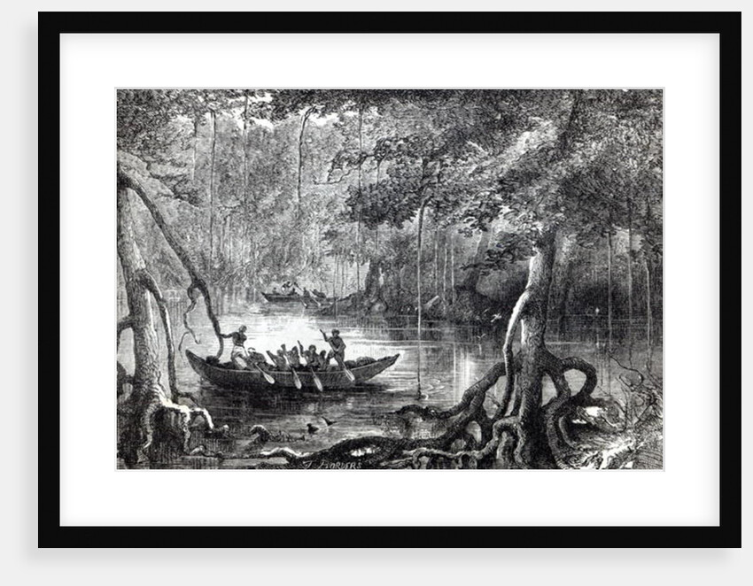 Mangrove Forest', frontispiece illustration from 'Twenty Nine Years in the West Indies and Central Africa' by H.M. Waddell. by English School
