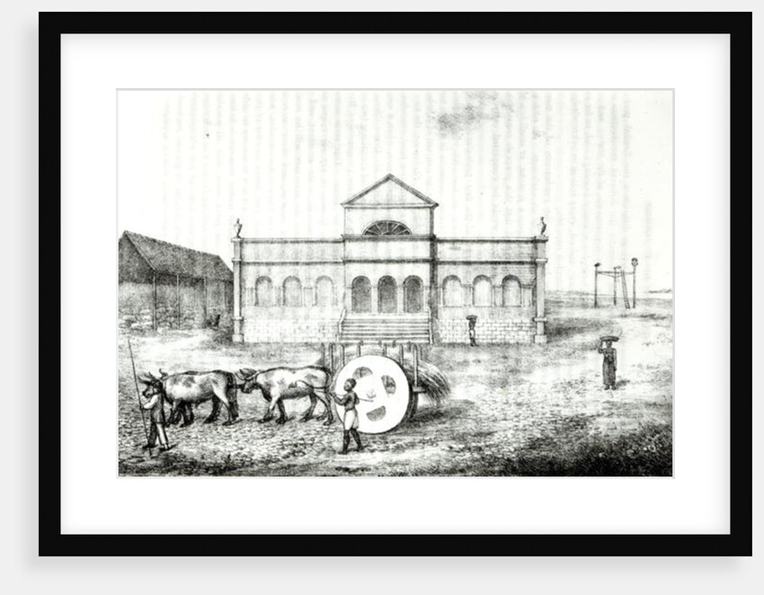 The Rio Exchange, a Public Trapiche, a Grass Wagon and the Gallows by James Henderson