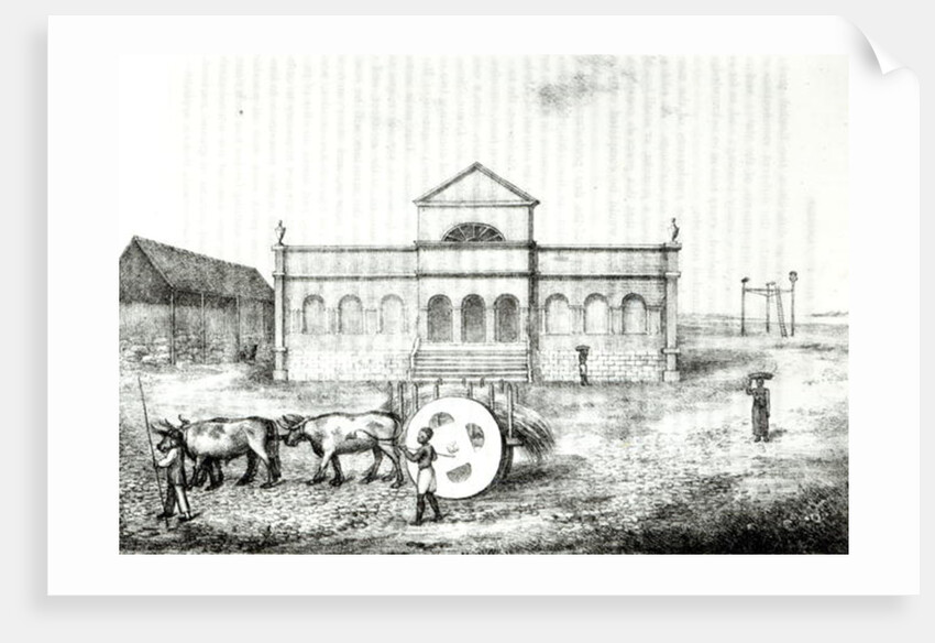 The Rio Exchange, a Public Trapiche, a Grass Wagon and the Gallows by James Henderson