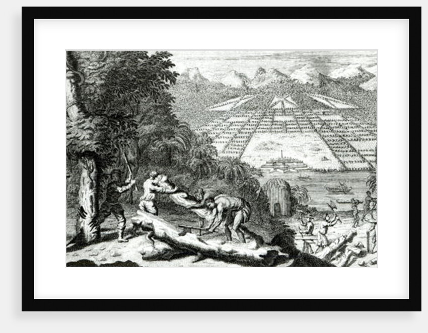 Illustration from 'The Reasons for establishing the Colony of Georgia' by Benjamin Martyn, 1733 by John Pine