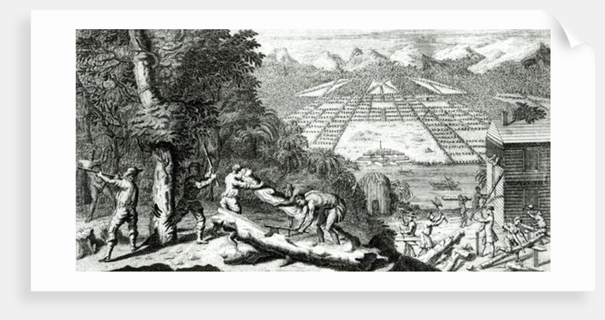 Illustration from 'The Reasons for establishing the Colony of Georgia' by Benjamin Martyn, 1733 by John Pine