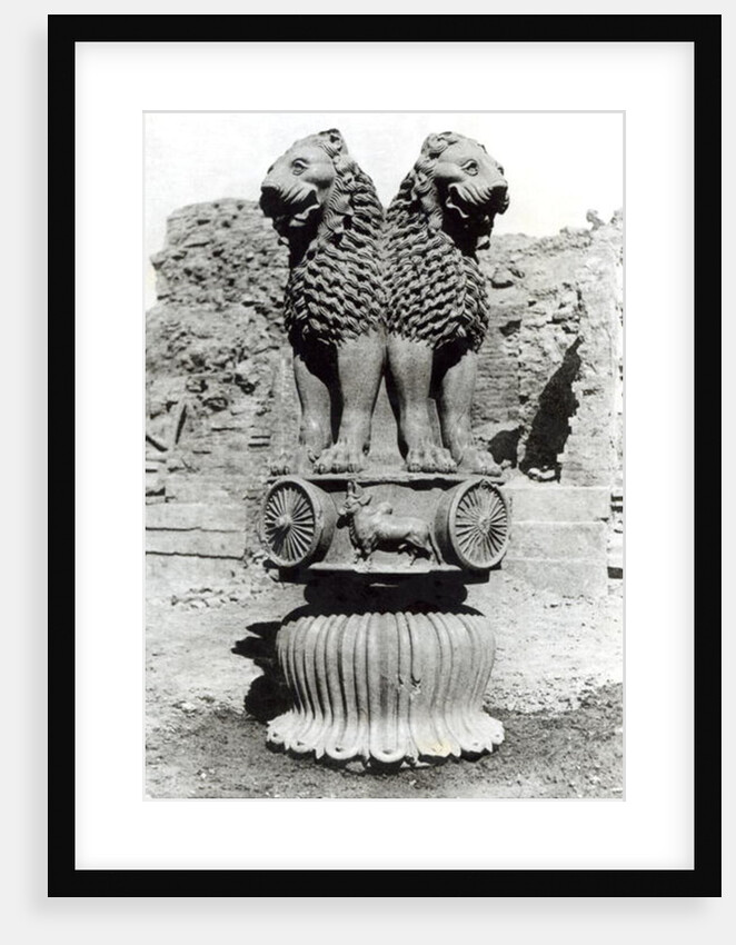 Lion capital from the Pillar of Emperor Ashoka, 273-236 BC by Indian school